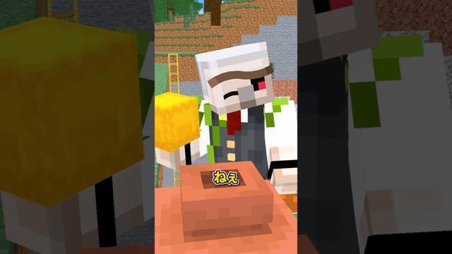 整理整頓 #shorts #マイクラ