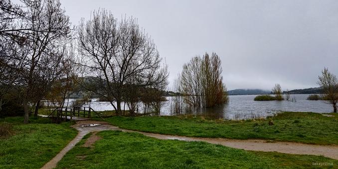 Fotografía del Embalse de Navacerrada en un día nublado (estaba lloviznando).
Se ven dos senderos de tierra (uno más estrecho que otro) en una zona de hierba que llevan a un puente de madera (a la izquierda).
Hay una hilera de árboles que van desde la zona del puente hacia el embalse, adentrándose en el agua. Algunos de ellos tienen el tronco sumergido en el agua del embalse, solo se ven sus copas.
Al fondo se puede ver una fina línea gris que es la presa (sobre ella pasa una carretera). Y las nubes cubriendo parte de las montañas.