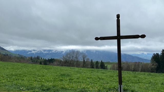 A thin dark wooden cross sits in a green pasture under an overcast sky with a hint of forested mountain obscured by clouds visible in the distance.