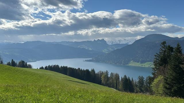 View of lake Ägeri under a partly cloudy sky. Green pasture and trees are in the foreground while forested hills and distant mountain peaks are in the background.