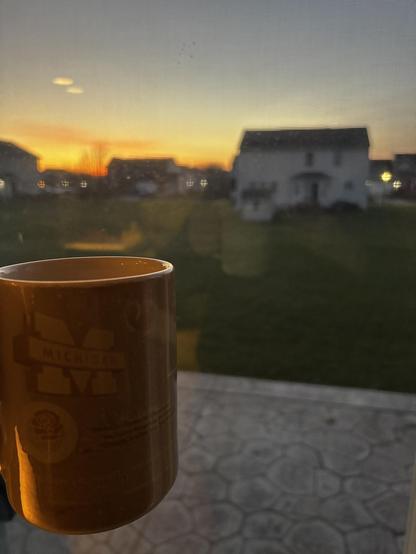 A person holds a Michigan-themed mug in front of a window with a view of suburban houses at sunset.
