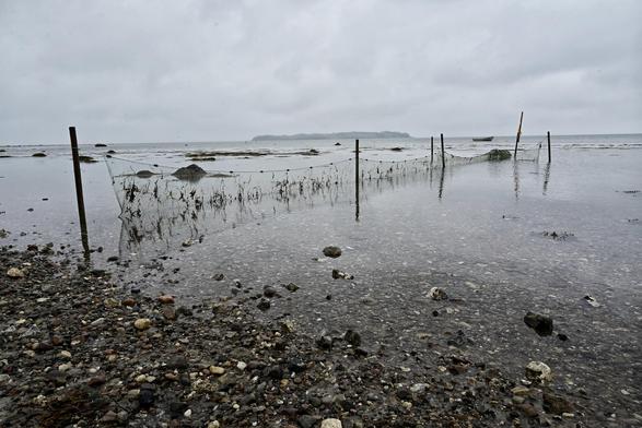 Ruse ved stranden i Havnsø ved lavvande. Nekselø i baggrunden