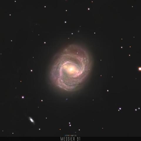 M91