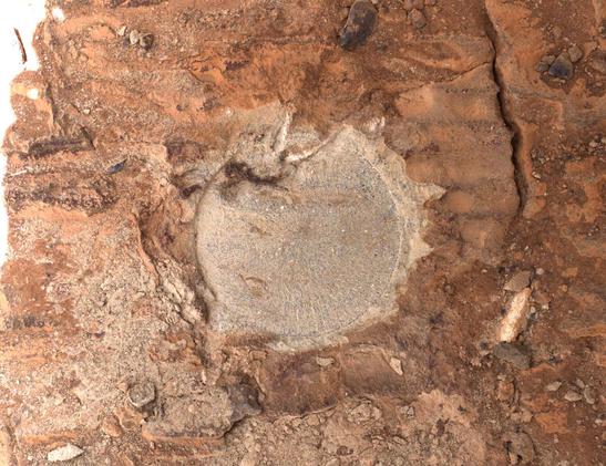 Mars2020_-_Sol_1479_-_WATSON_(54462621625).jpg
