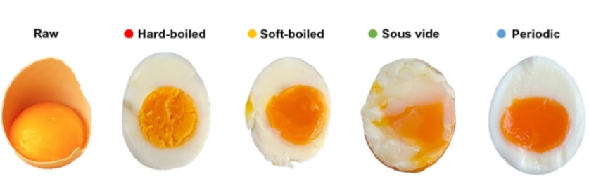 [ImageSource: Pellegrino Musto and Ernesto Di Maio]

Photographs of the raw, hard-boiled (red), soft-boiled (yellow), sous vide (green) and periodic (blue) eggs.

The solution, they suggest, is to use a saucepan of boiling water at 100C and a saucepan of water at 30C and to transfer the egg from one to the other every two minutes for exactly 32 minutes in total.

"It is found that a stationary state at the centre of the yolk is reached at a constant temperature of 67C," namely the mean value between the temperatures of the saucepan of boiling water and the saucepan of lukewarm water, Pellegrino Musto, one of the study's authors, said.

"Conversely, the albumen alternatively sees temperatures in the range 100–87C and 30–55C during the hot and cold cycles respectively," which allows all the layers of the egg white to reach cooking temperature, added Musto, research director at the National Research Council of Italy's Institute for Polymers, Composites and Biomaterials.

The authors then tested this method of "cooking in cycles" and found that the result was "more similar to the soft boiled when analysing the texture of its albumen, while it is very similar to the sous vide sample when considering its yolk," the study says.

The chemical analysis showed that the yolks of eggs cooked in cycles contained more polyphenols [healthy micronutrients] than hard-boiled eggs, soft-boiled eggs or sous vide eggs.