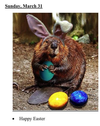 Beaver with bunny ears and Easter eggs.