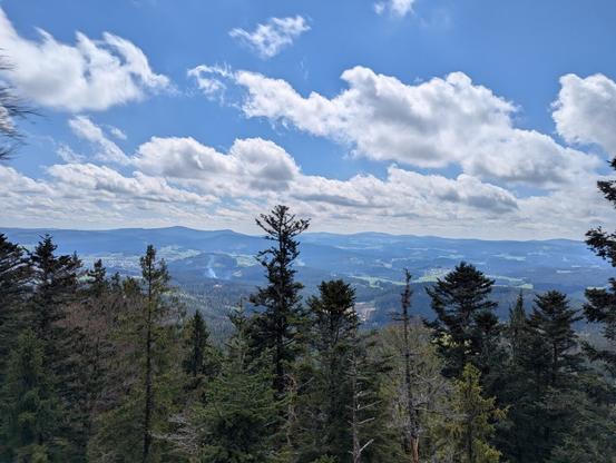 Ausblick ins Tal.