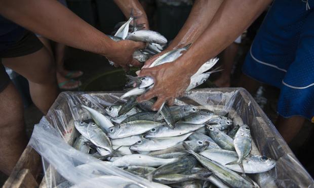 Pescado (Getty Images)