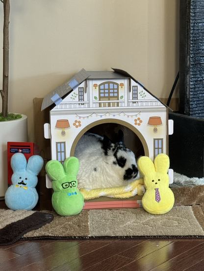 An unimpressed rabbit naps in a cardboard cottage while three peeps looking suitors surround her house.