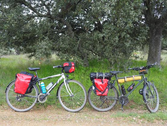 Two bicycles on a dirt path with a tree and greenery behind them. Both bicycles have multiple panniers and packs mounted and strapped to them.