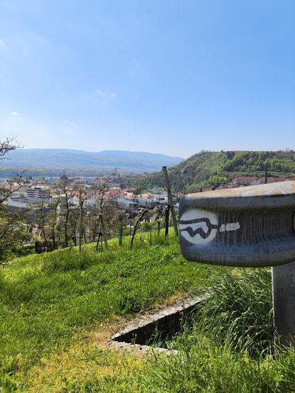 Im Vordergrund ist ein stilisiertes "W" zu sehen. Dahinter zuerst ein Weingarten, dann ein Blick auf die Stadt unten.