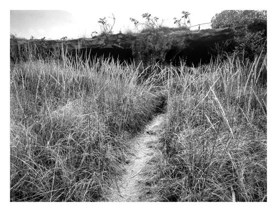 a B&W photo of a stretch trail among tall plants which leads to a cavern in the background as an enter and exit at the same time located in a hill.