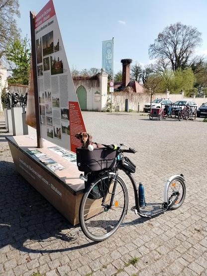 Mein Tretroller lehnt an einer Infotafel in Form eines Segelbootes. Effie sitzt im Körbchen, an welchem noch ein Styropor-Ei befestigt ist.
Die Aufschrift aif dem Boot lautet Grenzland am Elbestrom Amt Lenzen-Elbtalaue. Auf dem Segel des Bootes sind diverse Sehenswürdigkeiten von Lenzen und Umgebung aufgelistet.
Gleich hinter dem Boot stehen einige Säulen mit kleinen Bronzefiguren darauf. Die Figuren stellen humoristisch Teile der Stadtgeschichte dar, darunter ein Schwein als Richter, ein lachender Zimmermann vor einem völlig schiefen Haus, zwei sich bedrohende Kerle, ein vornehm angezogener Mann, der auf die Straße kackt und ein Mensch, der in einem Sarg einen Fluss überquert.
Daneben folgen der Aufgang zur Burg Lenzen und eine weiße Mauer. Hinter der Mauer steht die ehemalige Orangerie, auf dessen Schornstein ein großes Storchennest ist. Beim Zeitpunkt des Fotos hatte sich der Vogel leider gerade geduckt.