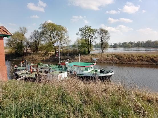 Blick vom Deich auf den Sportboothafen Lenzen und die Elbe dahinter. Auf dem schmalen Landstrich zwischen Elbe und Hafen stehen einige Laubbäume. Im Hafen liegt ein größeres Schiff: Die Domfelsen vom Wasser- und Schifffahrtsamt Magdeburg. Das Schiff ist am Rumpf schwarz lackiert, am Übergang zum Deck weiß und die Dächer sowie das Deck selbst sind grün. Bei der Domfelsen handelt es sich um ein Messschiff, mit dem die Wassertiefe und mögliche Hindernisse im Wasser geprüft werden.