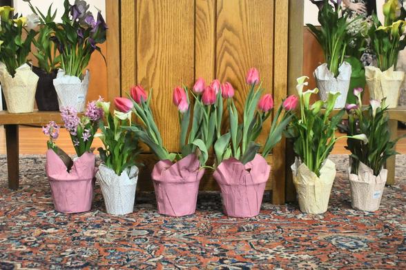 A picture showcasing all the flowers honoring the dead. Tulips, daffodils and other flowers.