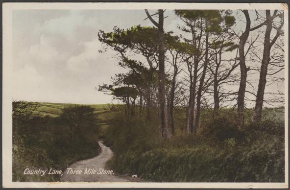 Printed colour or possibly hand tinted sepia real photographic postcard showing a view of a country lane at Threemilestone near Truro in Cornwall.

Published by The R.A.P. Co Ltd, London, not numbered, c.1910s.

Postally used on 6 March 1948 with Truro cancellation, stamp removed, and sent to Miss Anne Oliver, St Margaret's, Aviary Road, Pyrford, Woking.

Good condition, with slight corner bumps and medium to heavy album marks, but very light bend to upper left edge and small scratches to bottom edge.