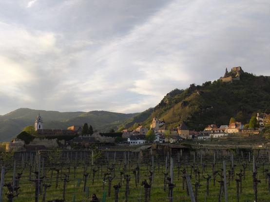 Im Vordergrund ein Weingarten, dahinter eine Altstadt mit vielen Dächern und Türmen. Rechts am Berg eine Ruine und Felsen. Die ganze Szene ist im Sonnenuntergangslicht zu sehen.