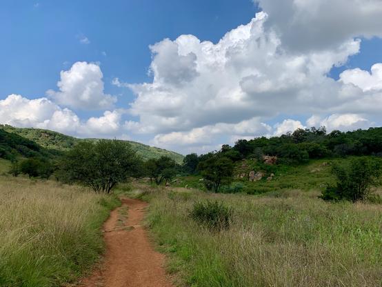 View of the Klipriviersberg Nature Reserve Hills.