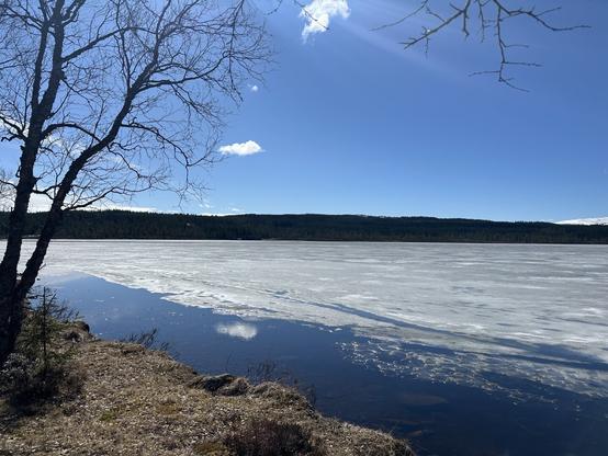 Islagt innsjø. Isen har begynt å gå opp, det er et par meter åpent vann ut til isen. Sol og blå himmel.