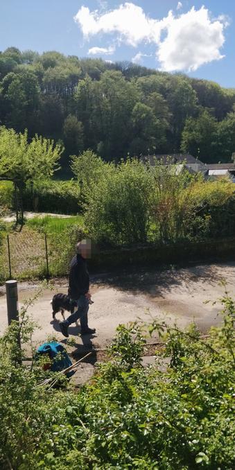 Señor Pertardez y Perrete paseando por un camino junto a una pradera que asciende suavemente por una colina. Hay arbustos aquí y allí y un pequeño bosque. Es un entorno muy placentero. Es un bonito día de primavera.