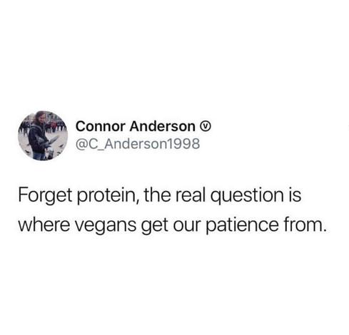 Forget protein, the real question is where vegans get our patience from