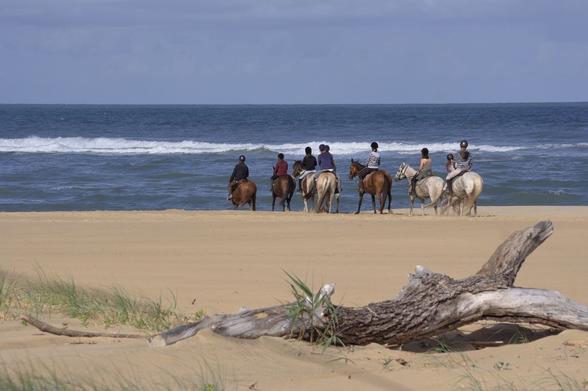 cavalier en balade sur une plage de l'atlantique