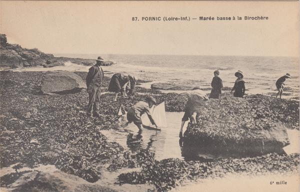 Carte postale ancienne - Marée basse à la birochère