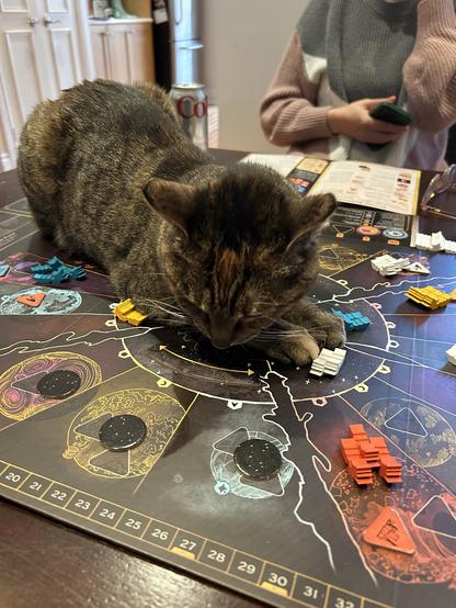 A cat sitting on an in progress game of Arcs. She looks pleased with herself.