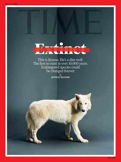 (https://cahituyar.blogspot.com/2025/04/ancient-wolves-who-were-these-legendary.html?m=1)