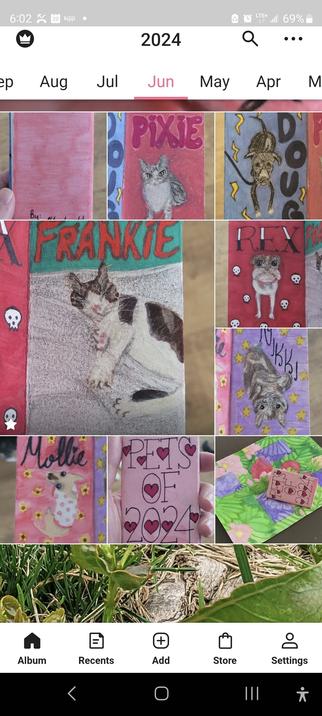 Screenshot of 7 pet illustrations in a small booklet.
Frankie the Big Cat, Rex the Pitbull, both of which who are no longer with us; Doug the Broad Shouldered pup, Niki the tordi, Moli the chi, and Pixi the cat. We've since added Mini the tux cat! )