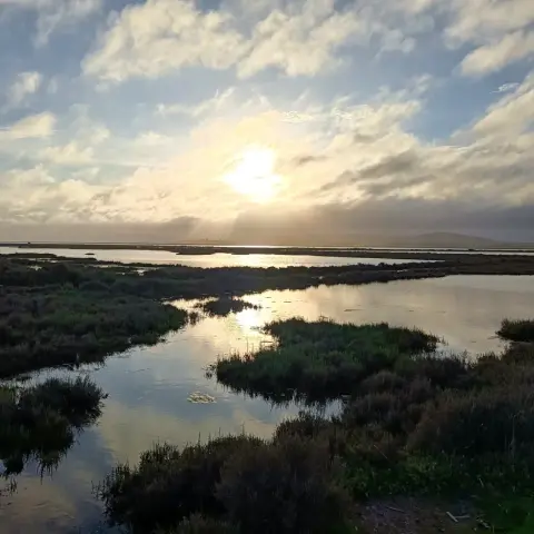 Sur la plage de Maguelone, entre étangs et mer, jusqu'au coucher de soleil