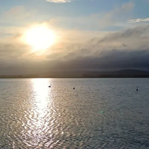 Sur la plage de Maguelone, entre étangs et mer, jusqu'au coucher de soleil
