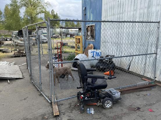 A fenced area showing a brown dog, a disabled mobility scooter, and various discarded items, including a gas tank and scattered debris. The background features a blue building and some automotive equipment.