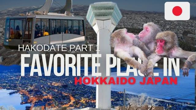 Hakodate Part 1 - My Favorite Hokkaido City! Snow Monkeys to Mountain Views