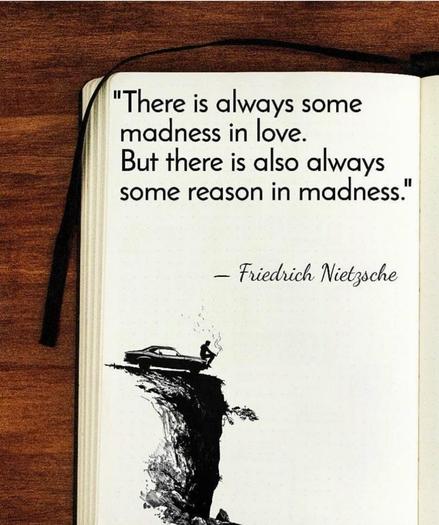 Picture of a book, showing the quote:
"There is always some madness in love. But there is also always some reason in madness." — Friedrich Nietzsche