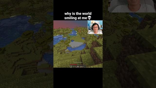 Minecraft Smile Moment