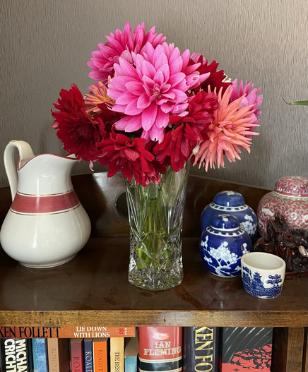 A vase of pink red and orange dahlias on a bookcase with a pink-striped white vase and ginger jars. One pink and two blue and white