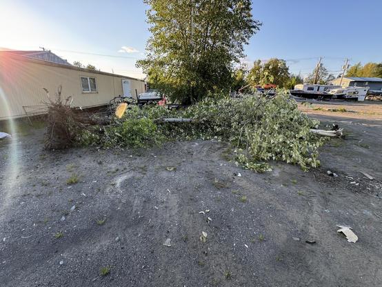 A pile of fallen branches and debris is situated on gravel ground next to a light-colored building. In the background, various vehicles and structures are visible. The scene is illuminated by the sun, casting a warm glow.