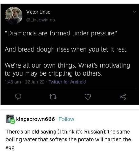 Victor Linao's tweet reads: 

"Diamonds are formed under pressure" 

And bread dough rises when you let it rest 

We're all our own things. What's motivating to you may be crippling to others. 

1:43 am · 22 Jun 20 · Twitter for Android"

Below, a Tumblr post from kingscrown666 says: 

"There's an old saying (I think it's Russian): the same boiling water that softens the potato will harden the egg."