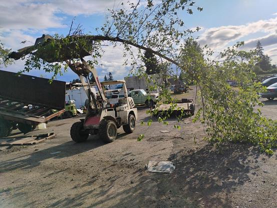 A small vehicle is lifting a tree branch in a cluttered outdoor space with scattered debris, tools, and parked cars in the background. The sky is partly cloudy, hinting at a daytime setting.