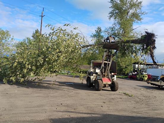 A tree has fallen and is being moved by a front-loader in a gravel area. Surrounding the loader are various vehicles and equipment, with trees and a cloudy sky in the background.