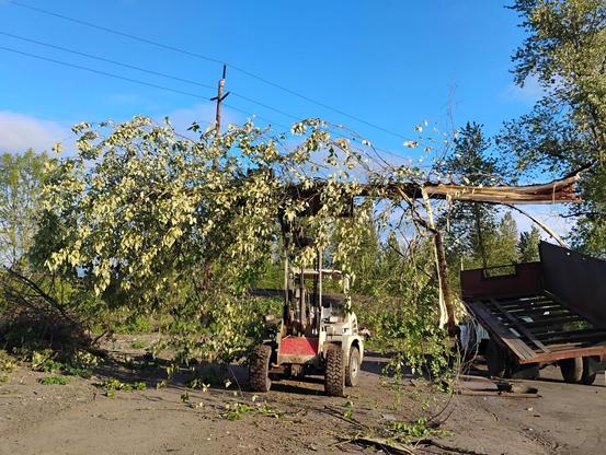 A forklift is lifting a large branch with green leaves, while a trailer is positioned nearby with its gate partially raised. The background features trees and a clear blue sky.