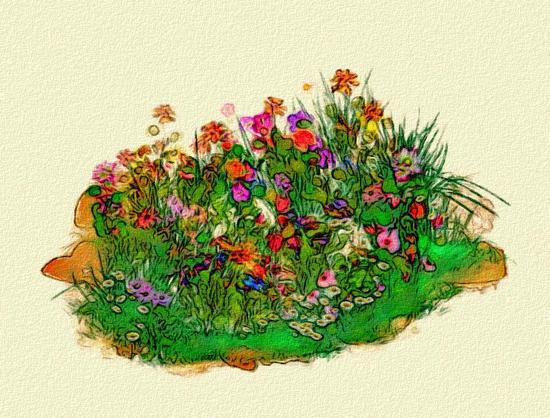 Bunte Blumen zwischen Gräsern und Steinen.

Colourful flowers between grasses and stones.