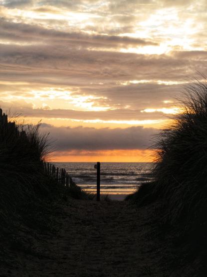 Path leading to beach at sunrise