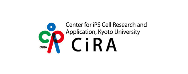 Pioneering a Cure for Parkinson's Disease: First Allogeneic iPS Cell-Based Therapy Demonstrates Safety and Efficacy｜News & Events | CiRA