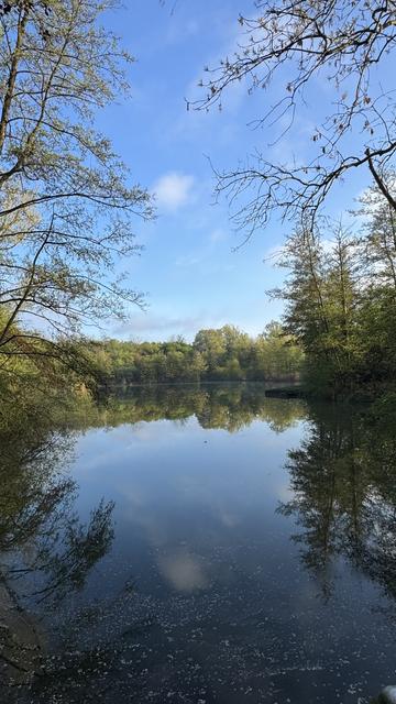 Blick auf einen Teich. Der blaue Himmel und die wenigen Wolken spiegeln sich im stillen Wasser; rechts und links kleine Bäume, Sträucher und Uferbewuchs im jungen Grün.
