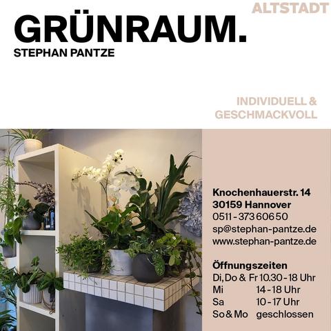 Das Bild zeigt eine Werbeanzeige für "GRÜNRAUM." von Stephan Pantze, die sich in der Altstadt von Hannover befindet. Die Anzeige ist in zwei Hälften geteilt. Die linke Seite zeigt eine Auswahl an Pflanzen in verschiedenen Pflanzenkästen und Topfpflanzen, die auf einem weißen Regal mit grauen Fliesen gestapelt sind. Die Pflanzen sind grün und umfassen verschiedene Arten, darunter eine weiße Orchidee. Die rechte Seite enthält Textinformationen: "ALSTADT," "GRÜNRAUM.," "STEPHAN PANTZE," "INDIVIDUELL & GESCHMACKVOLL," sowie Adresse, Telefonnummer, E-Mail-Adresse und Website. Öffnungszeiten sind Di, Do & Fr von 10:30 bis 18 Uhr, Mi von 14 bis 18 Uhr, Sa von 10 bis 17 Uhr, und So & Mo geschlossen.
―
Das andere Bild zeigt eine Auswahl von Pflanzen und Wohnaccessoires in einem Geschäft namens "Blumen und Wohnaccessoires" von Stephan Pantze. Im Vordergrund ist ein Tisch mit einem goldenen Teller, auf dem zwei brennende Kerzen in goldenen Halterungen stehen. Neben den Kerzen befindet sich ein goldener Topf mit einer grünen Sukkulentenpflanze. Vor dem Teller liegt ein grüner, spitzzahiger Fruchtball. Im Hintergrund sind verschiedene Pflanzen in verschiedenen Topfgrößen und Materialien zu sehen, darunter eine große Pflanze mit großen, grünen Blättern. Der Text im Bild beschreibt die Vielfalt an wunderschönen, pflegeleichten frischen Pflanzen, aktuelle Übertöpfe, hochqualitative Textilblumen, Glas- und Keramikgefäße, Pflanzgefäße und besondere Geschenkartikel...