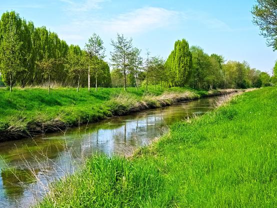 A channel in the sunlight. One its banks is green grass, then trees upon trees. The blue sky is reflected in the water.