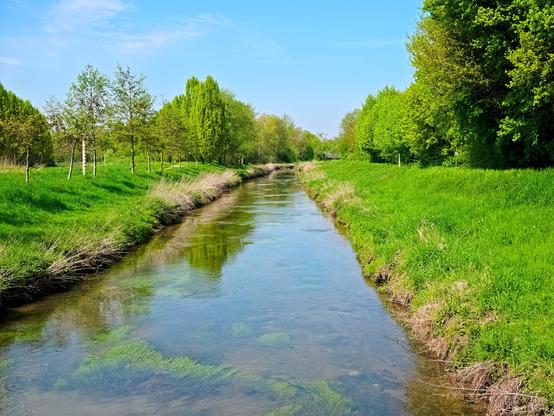 View of the canal as you cross it. There are moss-covered stones everywhere in the water. The colour green dominates this picture.