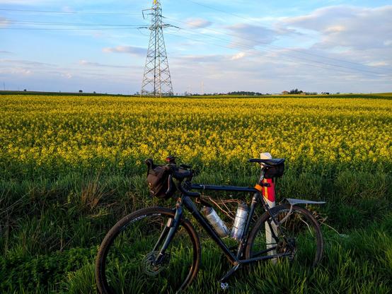 Rower oparty o przydrożny słupek, a za nim żółte pole rzepaku, w którym stoi duży słup linii elektrycznej. Daleko w tle trzy wiatraki.